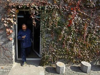 Ngải Vị Vị dùng tiền quyên góp để kháng cáo quyết định truy thu thuế