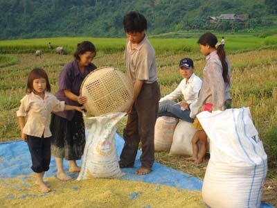 Người nghèo Việt Nam- nghèo vẫn hoàn nghèo