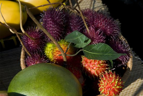 Lễ hội Tết đậm chất Việt ở Cali