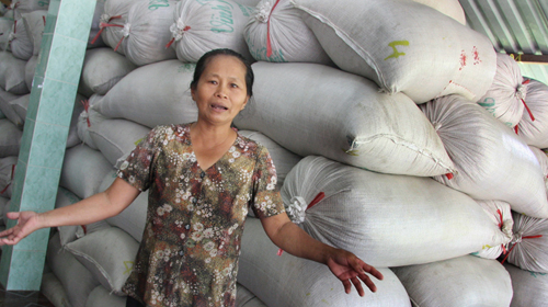 Lúa chờ người mua