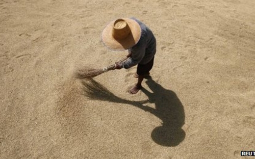 Trung Quốc hủy thỏa thuận mua gạo Thái