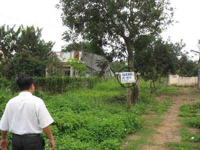 Đồng Nai sốt đất