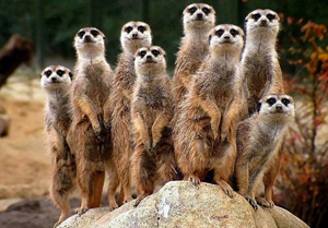 Đến hẹn lại thu, trường học khinh doanh nghiệp xăng dầu