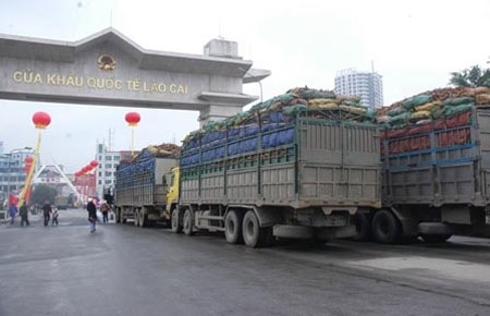 Năng lực cạnh tranh nhìn từ câu chuyện nhập siêu với Trung Quốc