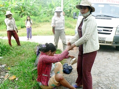 Trái đắng từ dự án trồng rừng InnovGreen - Bài 2