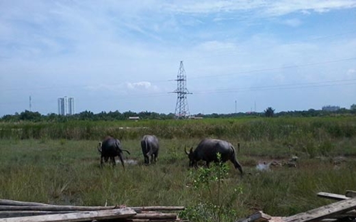 Đất nền dự án khó bán