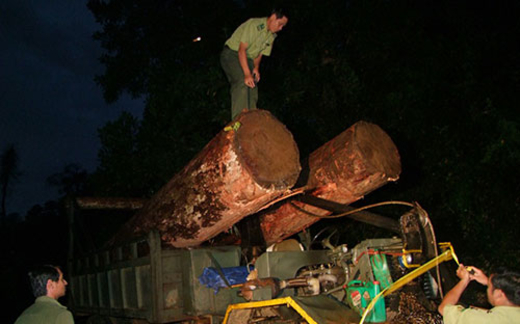 Xã hội đen chiếm đất, phá rừng