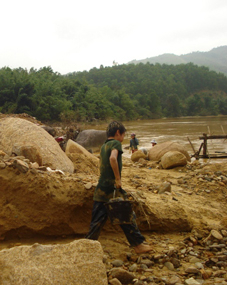 Đất chết vì vàng