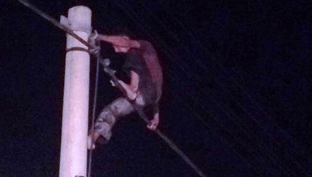 Nhảy múa trên cột điện hơn 3 giờ vì... phê ma túy