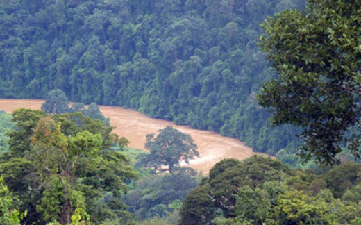 ’Say sưa làm thủy điện để phá rừng’
