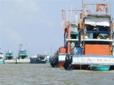 Tàu cá xuất ngoại chui