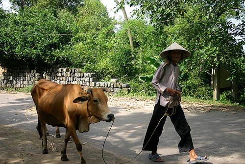 Chuyện lạ làng 'hỏi xoáy - đáp xoay" ở Bắc Ninh