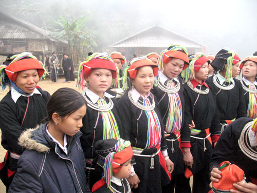 Sức sống mới trên cao nguyên đá Đồng Văn