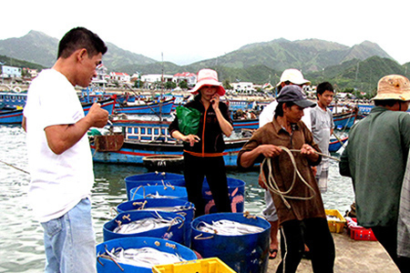 Lao động người nước ngoài “núp bóng” khách du lịch