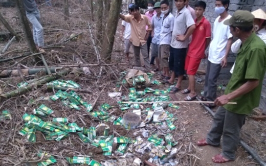 Vụ chôn hóa chất: 'Voi lọt lỗ kim'?