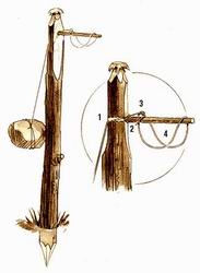 CHUYỆN TIẾNG MẸ ĐẺ: Bợm già mắc bẫy cò ke