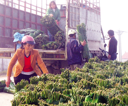 Làng đón Tết sớm nhất và ăn Tết sau cùng