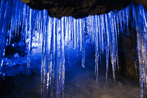 Khu rừng gợi cảm giác rùng rợn ở Nhật Bản