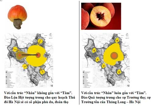 Quy hoạch Hà Nội và trái Đào Lộn Hột