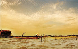 Đầm Thị Tường - Bức tranh giữa đồng bằng