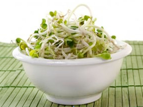 Điểm báo Ba Lan
