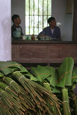 Một mai lá dong Tràng Cát...