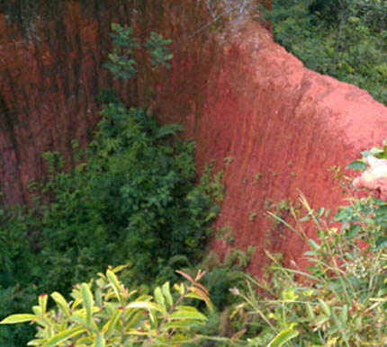 “Làng ma ám” ở HN: “Rắn thần” khiến cả nhà chết thảm?