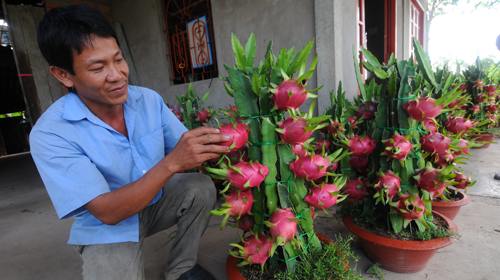 Người bán hồi hộp... chờ người mua