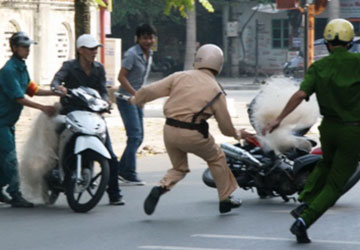 Tùy hứng!