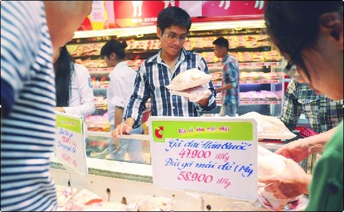 Nhập gà thải dùng cho gia súc về bán cho dân ăn