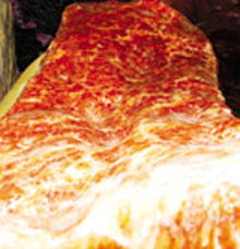 Khối đá quí lần đầu xuất hiện ở Việt Nam: Thịt khủng long hóa thạch?