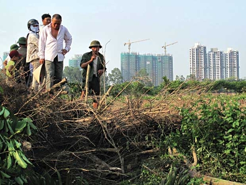 Tài nguyên đất đai đang được sử dụng như thế nào?