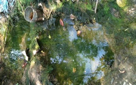 "Vùng đất thuốc sâu": Biết uống nước có thể bị ung thư nhưng dân vẫn phải uống