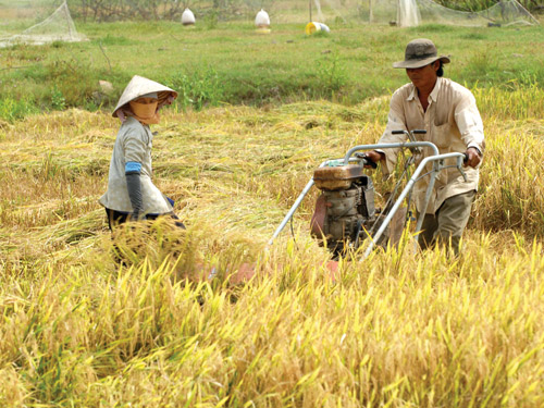 Cần sửa đổi gì trong luật Đất đai?