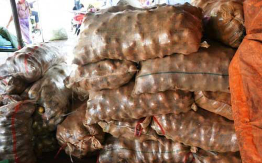 Hà Nội tràn ngập khoai tây Trung Quốc