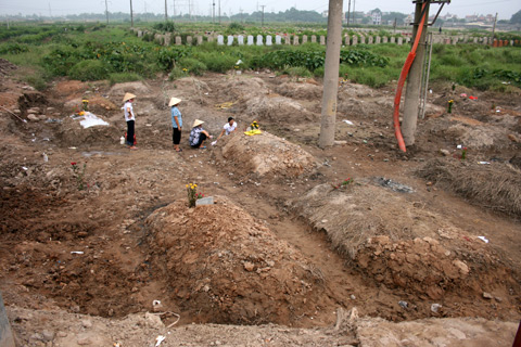 3 kẻ 'xâm phạm mồ mả' tại nghĩa trang Đồng Trưa lĩnh án