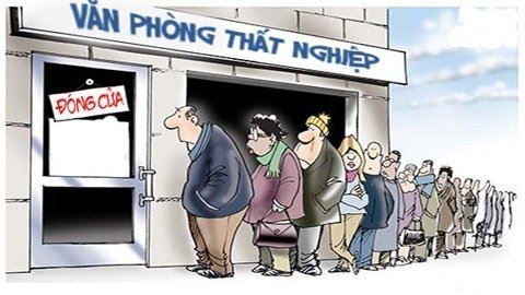 Cử nhân vác lúa, bán hàng thuê chờ việc tốt