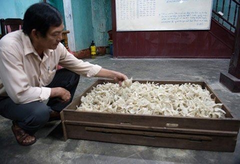 Yến sào ‘gãy cánh’ vì khủng hoảng kinh tế