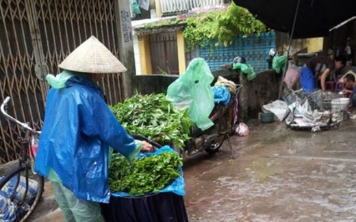 Hoảng hốt sữa độc, ‘sốc’ nặng với thịt, mì cao su