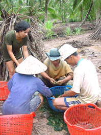 Miền Tây: Mùa nước nổi không về