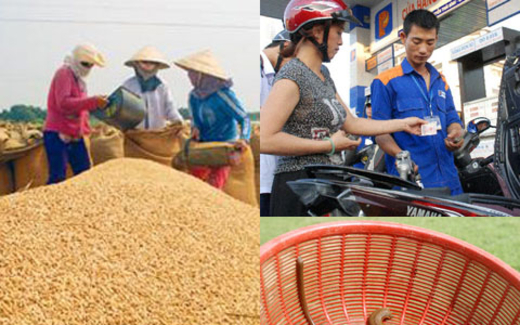 5kg thóc=1 lít xăng, 1 tạ thóc<1kg đỉa