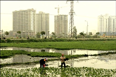 Thứ tự lợi ích