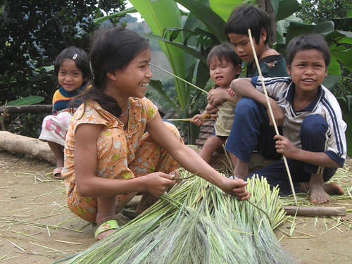 Đau đầu vì "cơn sốt" bỏ học đi chặt đót trả nợ