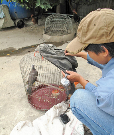 Kinh hoàng “công nghệ” xăng dỏm - Kỳ 4