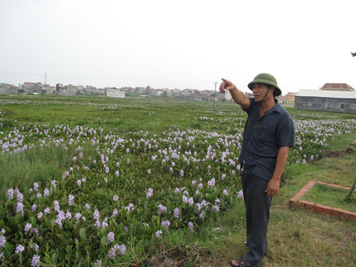 Dân mất đất, “quan” chia lô bán nền
