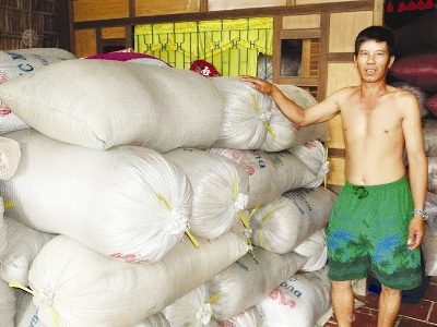 Đồng Bằng Sông Cửu Long:  Rớt giá, nông dân chất lúa đầy nhà