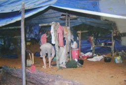 Đường đến nghĩa trang... vàng - Kỳ 2