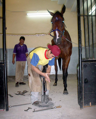 Những “bí mật đen” ở trường đua Phú Thọ