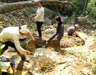 Đua nhau phá nát Vườn quốc gia Tam Đảo