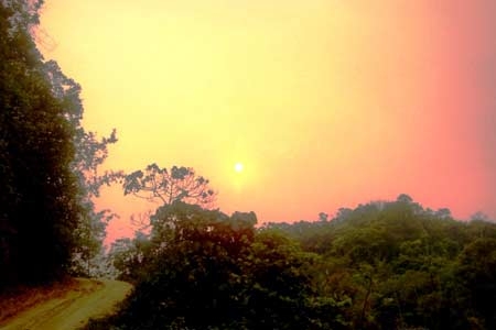 Vẻ đẹp vùng cao